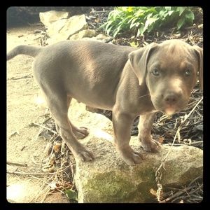 Open to offers on all items!